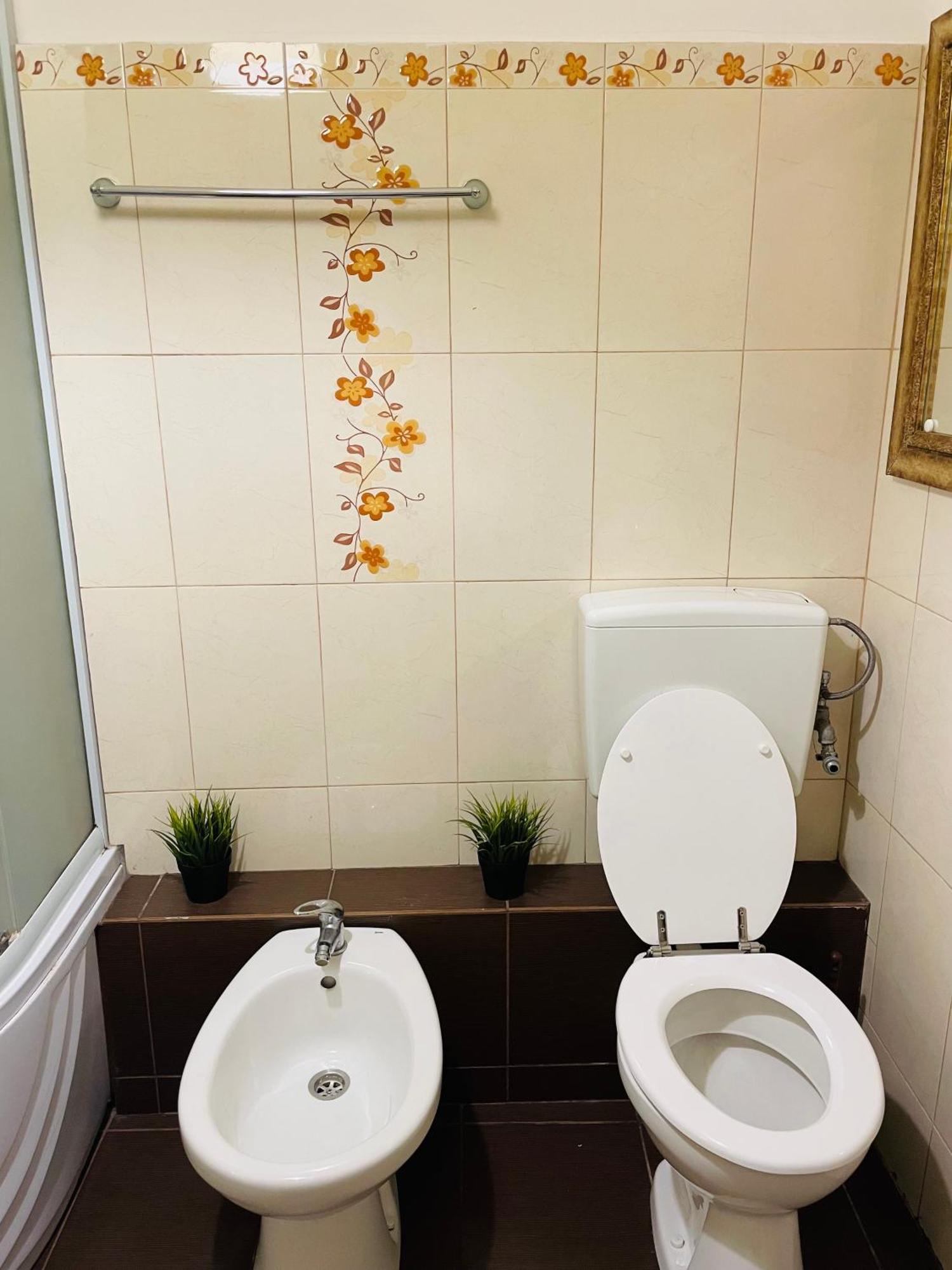 Apartment Postavarului *