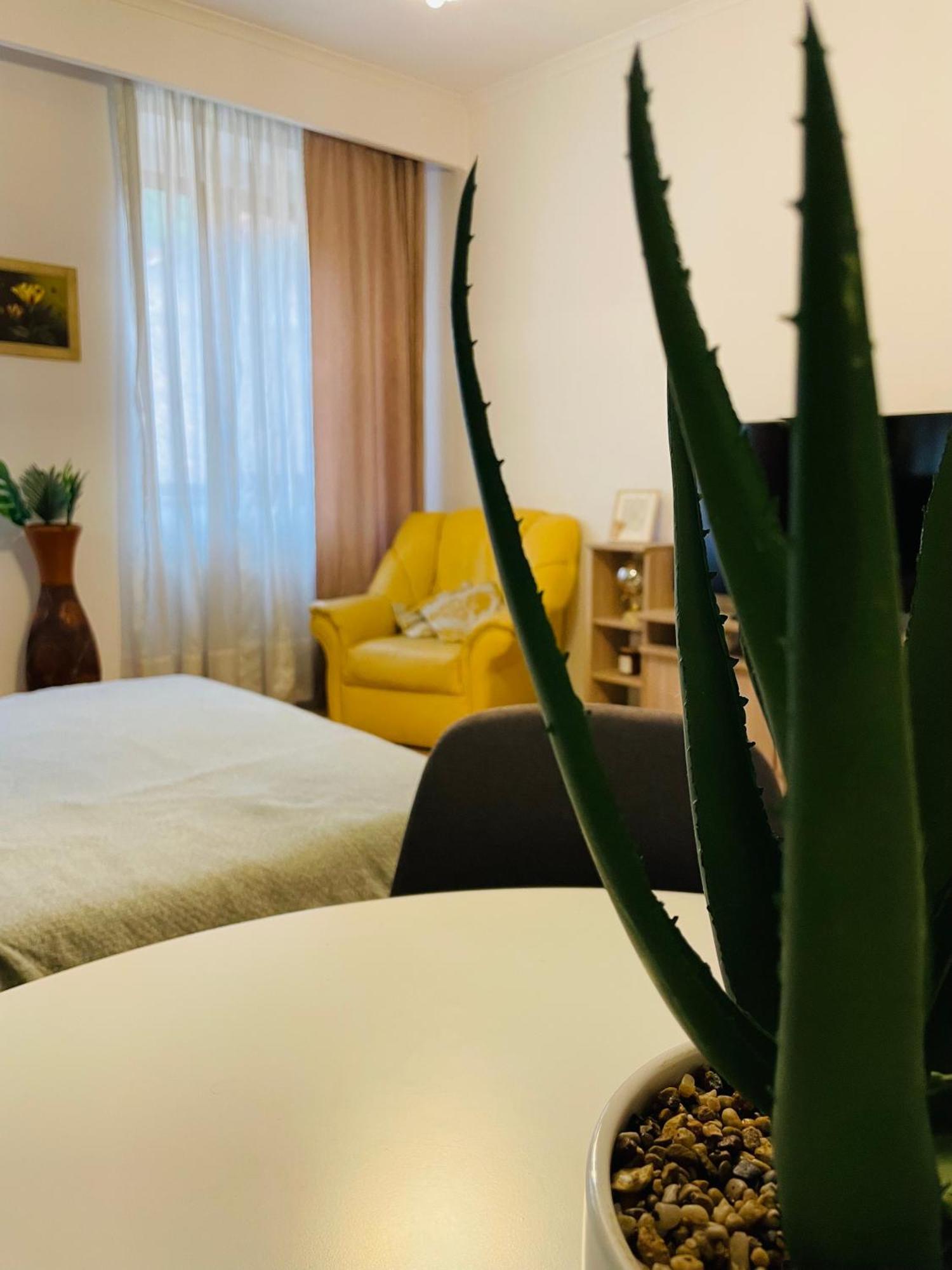 Apartment Postavarului
